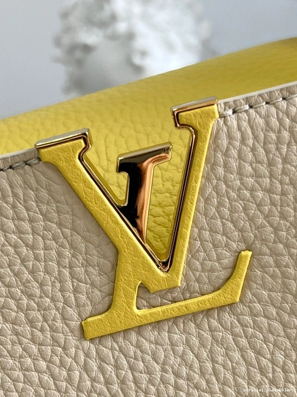 Official oldcobbler CAPUCINES LOUIS VUITTON BB 0819